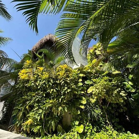Casa Nona Rosa Lejlighed Cancún Eksteriør billede