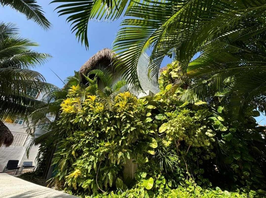 Casa Nona Rosa Lejlighed Cancún Eksteriør billede